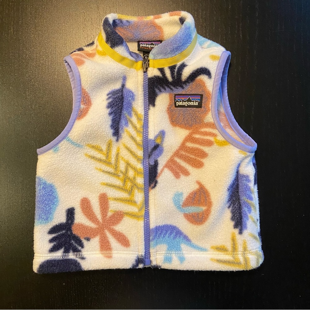 Patagonia Toddler Fleece Synchilla Vest